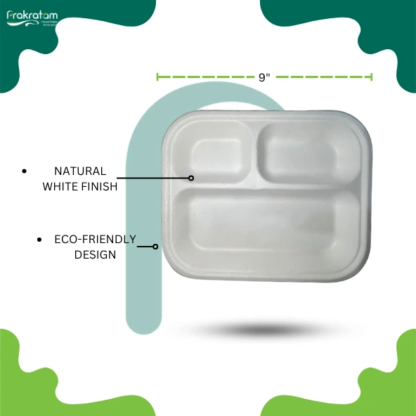 9" 3CP Plate | EcoCane Bagasse | 3-Compartment Biodegradable Plate | Durable & Compostable | Perfect for Portion Control, Events, and Catering