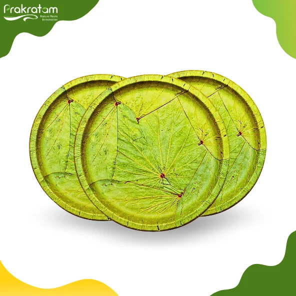 Prakratam [13 inch, (Pack of 20) Palash & Mahul Leaf Disposable Plates | Eco Friendly, Biodegradable, Use paltes | for Serving Rise & Snacks | Birthday, Wedding & Party