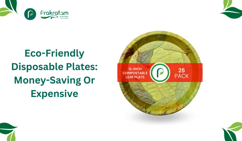 Eco-Friendly Disposable Plates: Money-Saving Or Expensive