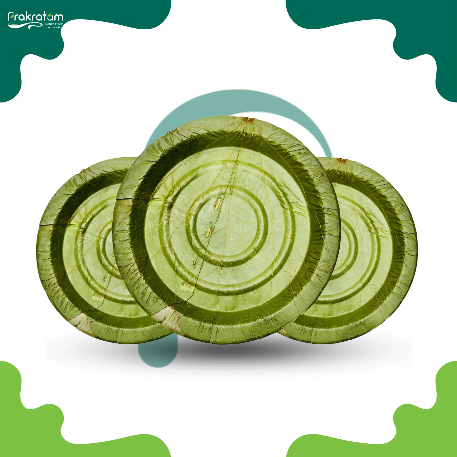 7 Leaf Nasta Plate | Eco-Friendly & Biodegradable | Made from Plash/Mahul Leaves | (Pack of 20)