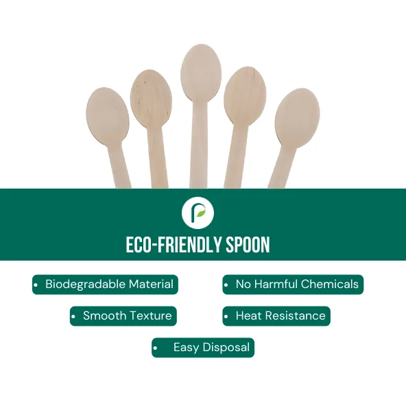 Eco-Friendly Spoon - Biodegradable Disposable Utensils | Pack of 100