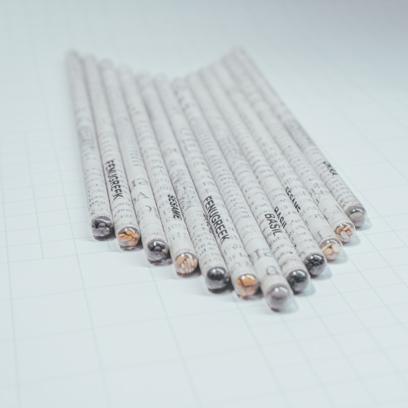 Newspaper Seeds Pencil | Eco-Friendly & Sustainable | Plantable After Use