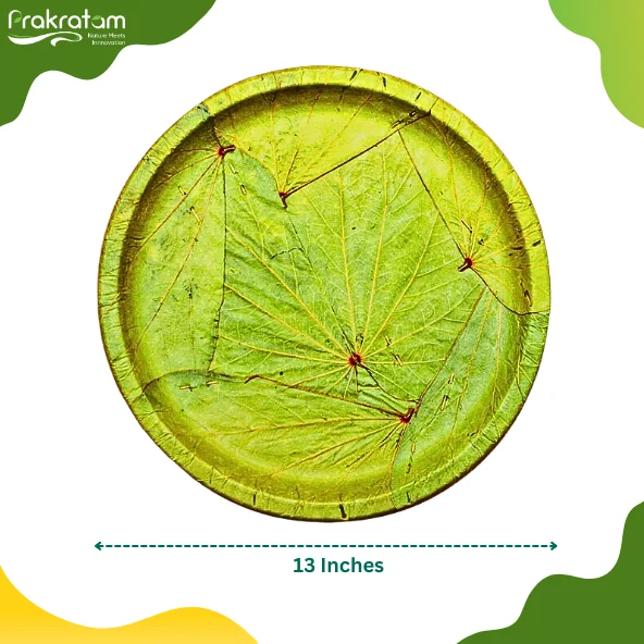 Prakratam [13 inch, (Pack of 20) Palash & Mahul Leaf Disposable Plates | Eco Friendly, Biodegradable, Use paltes | for Serving Rise & Snacks | Birthday, Wedding & Party