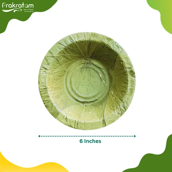 6 inch Leaf Nasta Dona | Biodegradable & Eco-Friendly Bowl | Made from Plash/Mahul Leaves