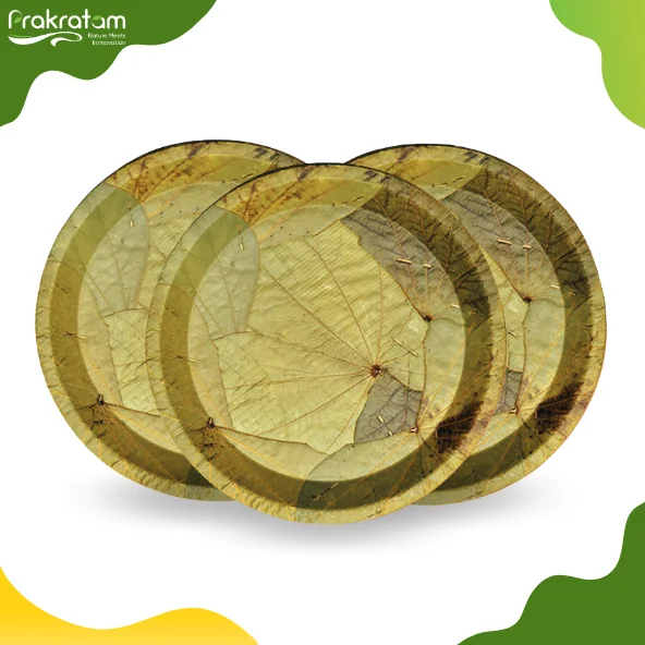 6 inch Leaf Nasta Plate | Eco-Friendly & Biodegradable | Perfect for Parties & Events